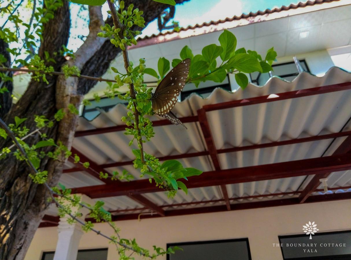 Hotel The Boundary Yala Kataragama Zewnętrze zdjęcie