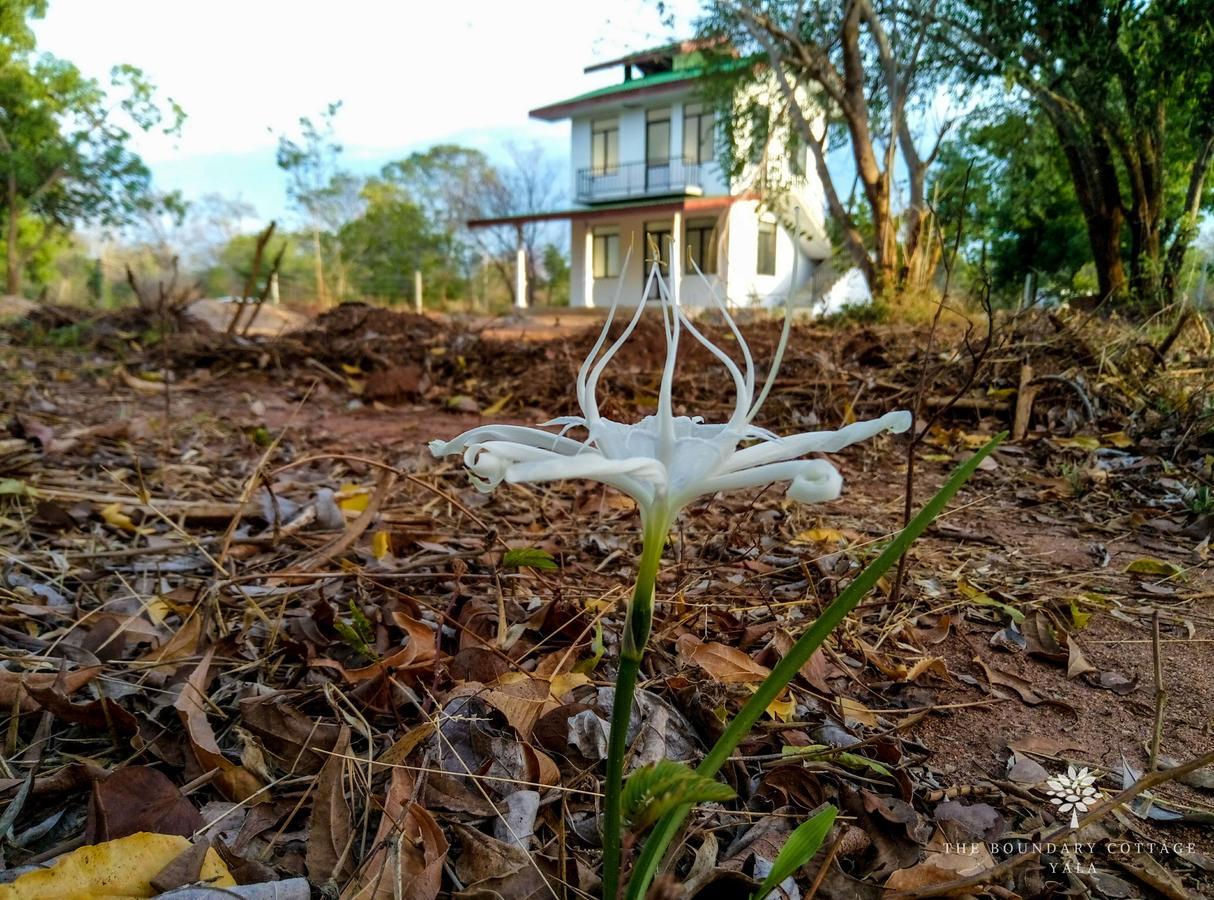 Hotel The Boundary Yala Kataragama Zewnętrze zdjęcie
